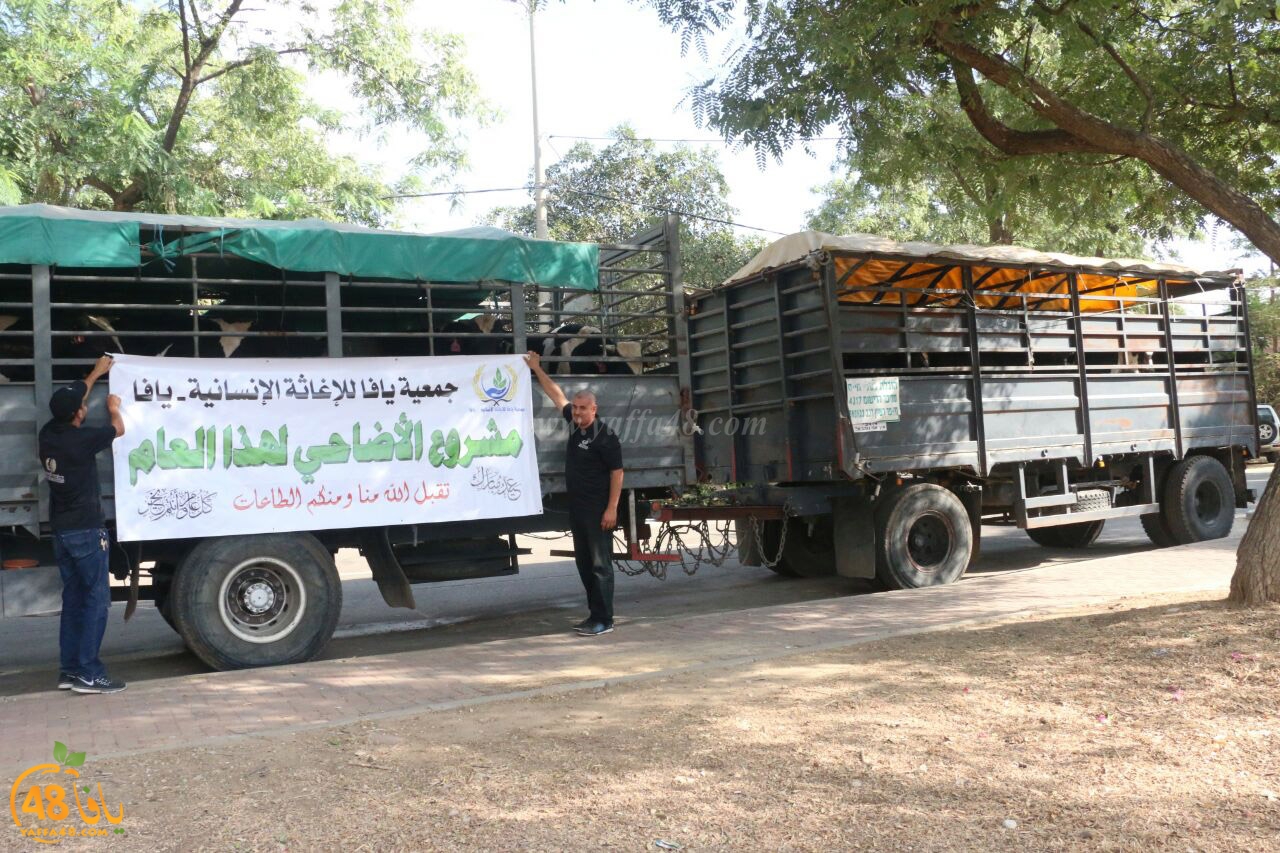 jam3iya yaffa ada73u (5).jpg